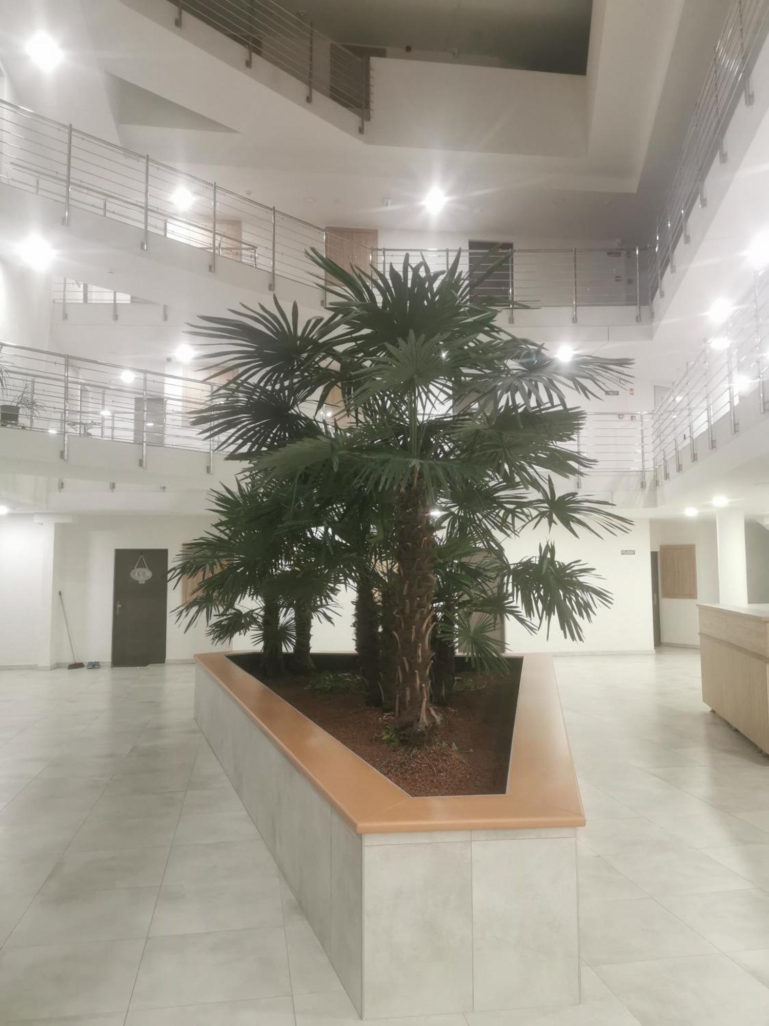 Beli Apartman Melygarazzsal Heviz Exterior photo